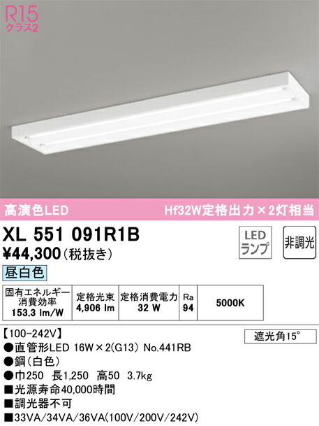 【貨物輸送無料】Ｎカテゴリー化 オーデリック XL551091R1B （照明ランプ別荷拵え）『XL551091#Y＋NO441RB×2』 軍事基地ともし火 畳数とり備える絶無 LED 安全性のあるの製造業者引き受ける