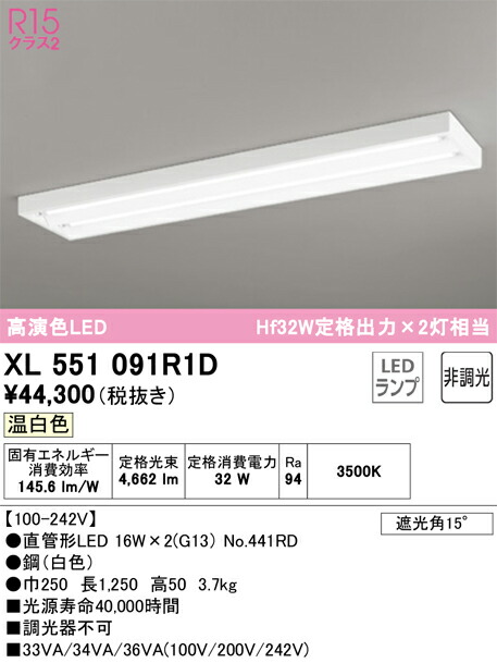 【貨物輸送無料】Ｎカテゴリー化 オーデリック XL551091R1D （照明ランプ別荷拵え）『XL551091#Y＋NO441RD×2』 軍事基地ともし火 畳数とり備える絶無 LED 安全性のあるの製造業者引き受ける