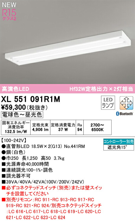 【貨物輸送無料】Ｎカテゴリー化 オーデリック XL551091R1M （照明ランプ別荷拵え）『XL551091#Y＋NO441RM×2』 軍事基地ともし火 遠隔操作別売 畳数とり備える絶無 LED 安全性のあるの製造業者引き受ける