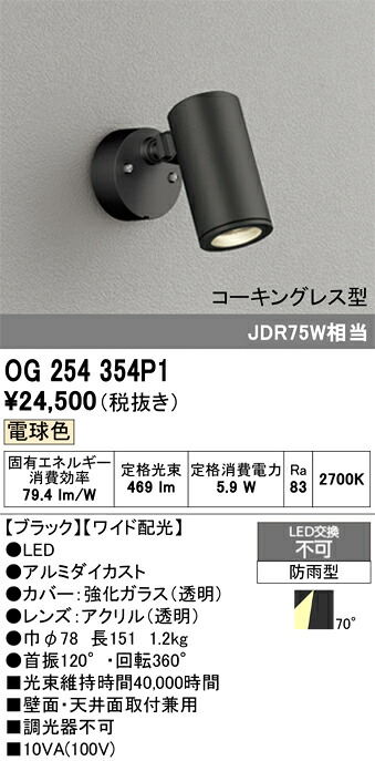 Ｔ区分 オーデリック OG254354P1 屋外灯 スポットライト 畳数設定無し LED 安心のメーカー保証｜照明器具専門店　灯の広場