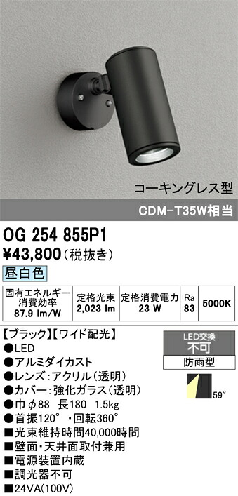 Ｔ区分 オーデリック OG254855P1 屋外灯 スポットライト 畳数設定無し LED 安心のメーカー保証｜照明器具専門店　灯の広場
