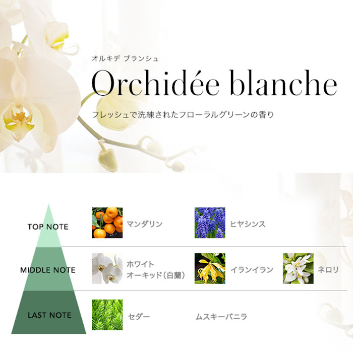 オルキデ ブランシュ Orchidee blanche 南の森の奥に香る花の女王・白い蘭の繊細優美なグリーンフローラルの香り。