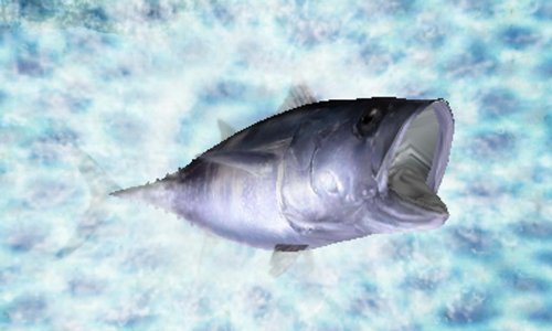Fish Eyes 3d 3ds Game Video フィッシュアイズ3d チープ 3d