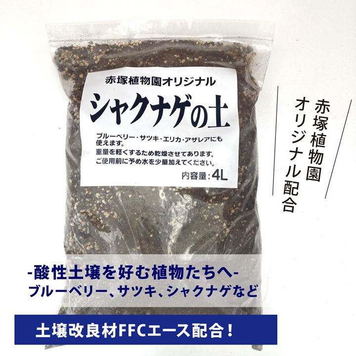 酸性土壌を好む植物に 赤塚オリジナル培養土 シャクナゲ専用 使い切り小容量 4l入り ツツジ サツキ ブルーベリーにも 04資材 激安正規