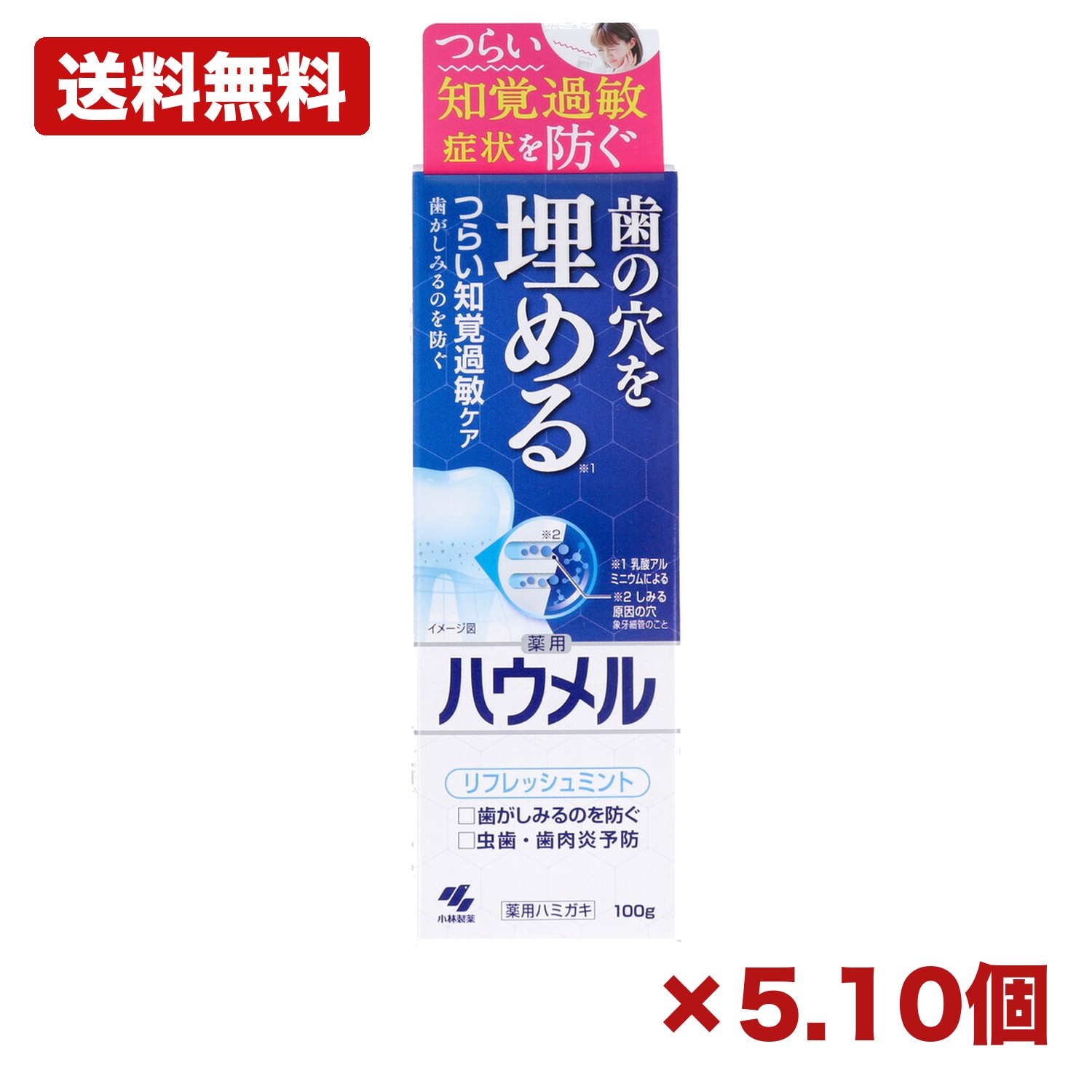 【5・10個セット】小林製薬 薬用ハミガキ ハウメル フレッシュミント 100g