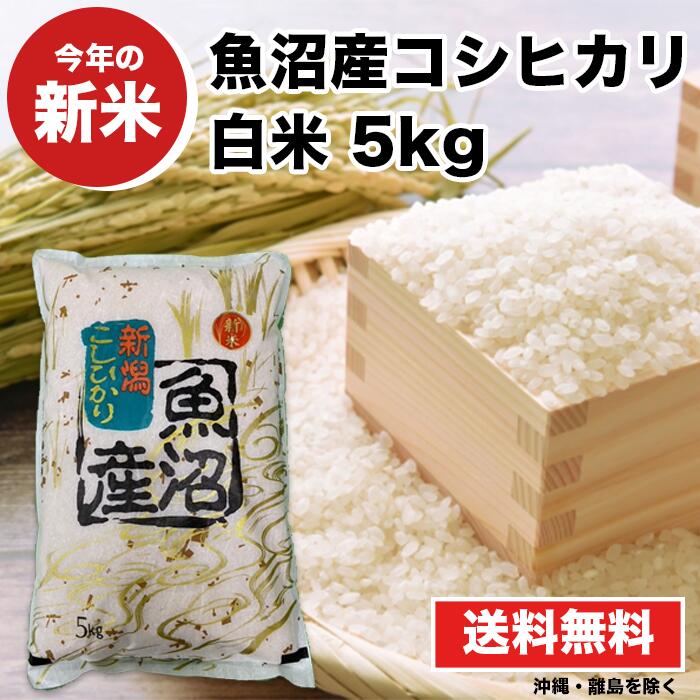 令和4年度産 魚沼産コシヒカリ 脱ネオニコ米 殺虫剤不使用 玄米20kg