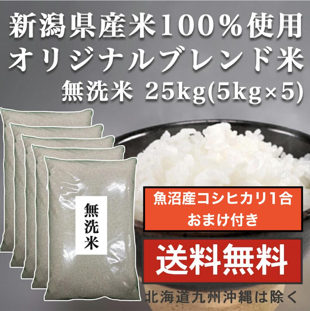 日本製 新米 新潟県 ４年産 コシヒカリ 白米 5ｋｇ 5ｋｇ×１袋 お米 米