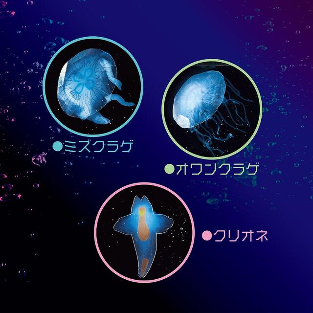 楽天市場 工作グッズ 神秘の透明生物をつくろう Pt177 クツワ Hats 7色に変わるledライト 台付き クリオネクラゲを不思議な透明液で作って浮遊させてみよう 夏休みの宿題課題自由研究実験体験学習 なつやすみ長期休暇お休みに 3cmメール便不可 Aplenty