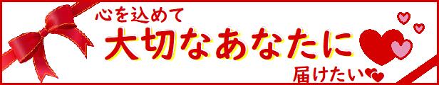 《中学生向け カード》とく問カード/とくもん【選択: 国語、数学、理科、英語、地理、歴史、単熟語、公民】☆ とくもんカード 勉強カード  暗記カード 単語カード 暗記帳※【シリーズ８個まで3cmメール便OK】※合計9個以上の方は宅配便に変更し発送します ...