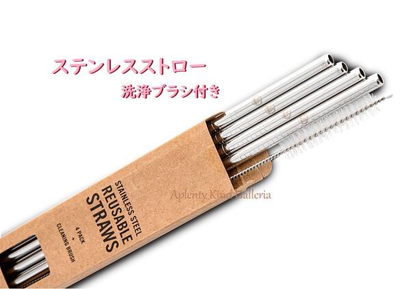 市場 BPAフリー NO.923418 ストローブラシセット STRAWS PACK 8051513923418 ステンレス製ストローとストロー専用洗浄 ブラシのセット ストロー4本 CLEANING 4PCS BRUSH