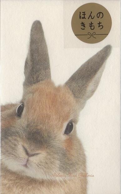 楽天市場 お正月用品 ぽち袋s 4 808 9 ひょっこりウサギ アニマルフォトシリーズ 5枚入り うさぎのポチ袋寸志小さいご祝儀袋 お札を折っていれるタイプ お心付け封筒お祝い袋お小遣いにプリペイドカード入れ 動物写真デザイン 3cmメール便ok Aplenty Kind Galleria