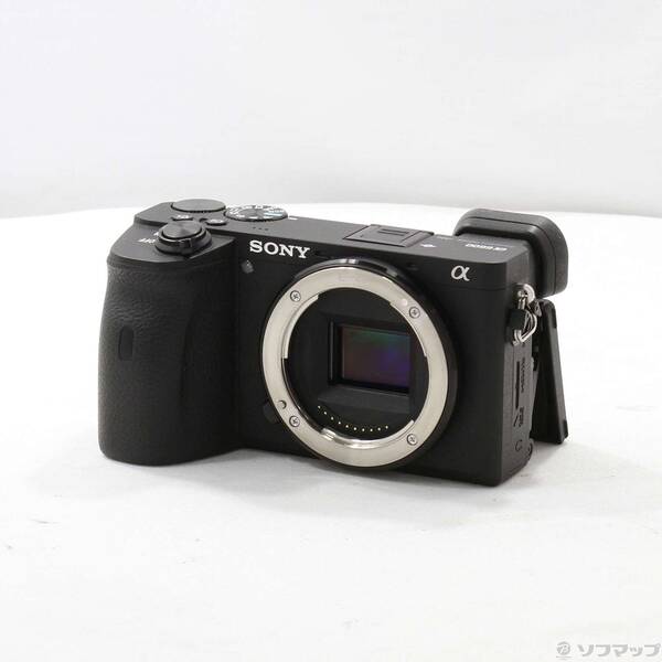 【中古】SONY(ソニー) α6600 ILCE-6600 上半身 【368-ud】