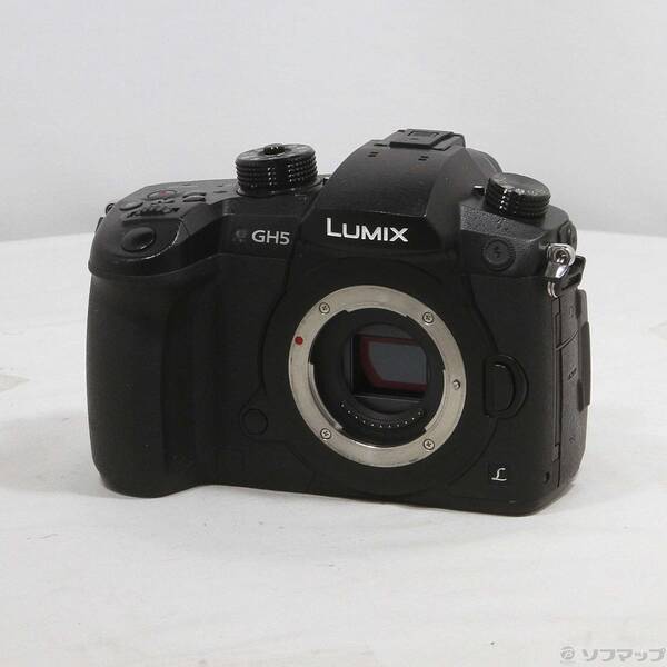 【中古】Panasonic(パナソニック) LUMIX DC-GH5 上半身 【196-ud】
