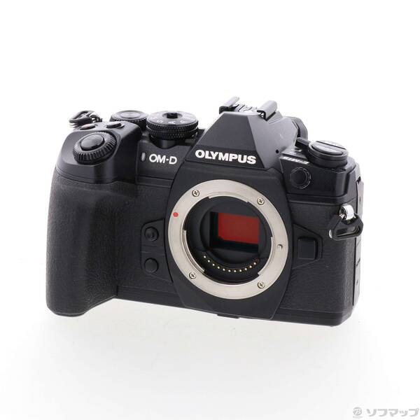 【中古】OLYMPUS(オリンパス) OM-D E-M1 Mark II 上半身 【349-ud】