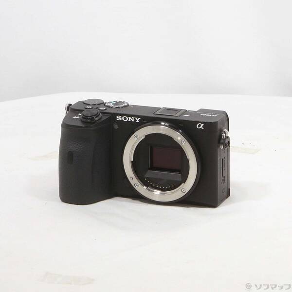 【中古】SONY(ソニー) α6600 ILCE-6600 上半身 【269-ud】