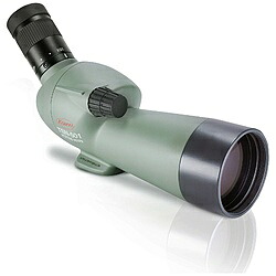 KOWA スポッティングスコープ傾斜型（グリーン） TSN-501 TSN501 27,222円