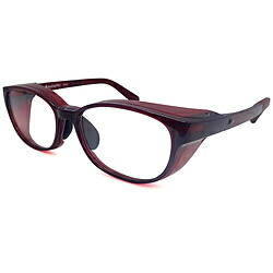 ピスタ 花粉 アレルギー反応方略グッズ 医師が意味たハイドロ銀鼠チタンメガネ 闇黒葡萄酒 Hd03 3 Hd03 3 52 振込不可 Upntabasco Edu Mx