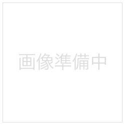 EPSON(エプソン) SETUP300 EPSONレーザ印刷者各種とり備える御役目代（30000） SETUP300 [代引不可]