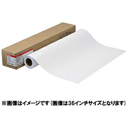 Canon(キヤノン) フォト用紙 フォト半光沢紙HG 厚口 ロール紙［インクジェット /432mm&times;30m /1ロール］ LFM-SGH/17/255 LFMSGH17255｜ソフマップ　デジタルコレクション