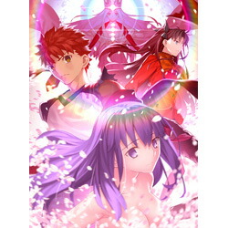 特典対象 Tvアニメ 03 31発売予定 Song ソニーミュージックマーケティング 劇場版 Fate Stay Night Heaven S Feel Iii Spring Song 完全生産限定版 ソフマップ アニメガ特典 アニメ描き下ろしb1布ポスター メーカー早期予約特典 ジャケットイラスト