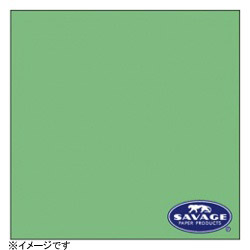 サベージ 【サベージ背景紙】バックペーパー（No.40・ミントグリーン） RL4012