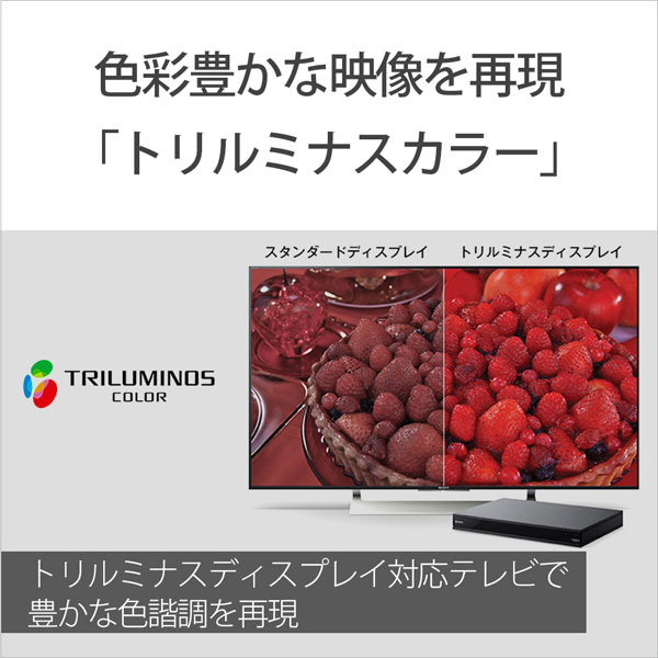 SONY(ソニー) UBP-X800M2 ブルーレイプレーヤー [再生専用 Ultra HD