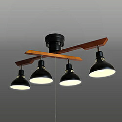 瀧住 LEDロッドスポット LED電球付属　電球色 GL4020RSBK ［6畳 /電球色 /リモコン無 /E26 /電気工事不要］ GL4020RSBK
