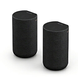 SONY(ソニー) 後ろ側金棒引き（HTA7000相応う）   SA-RS5 SARS5