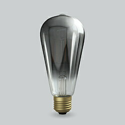 ビートソニック LED電球 エジソン ブラッククリアー Siphon LDF95D ［E26 /20W相当 /電球色 /1個 /全方向タイプ］ LDF95D