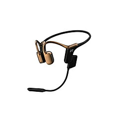 AVIOT ブルートゥースイヤホン 骨伝導イヤホン bronze gold WB-E1M-GL ［骨伝導型 /Bluetooth対応］ WBE1MGL