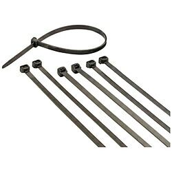 イチネンTASCO 太陽光発電システム施工用結束バンド 300mm 100本入 TA957PK-300 TA957PK300 9,080円