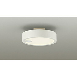 大光電機 LED小型シーリングライト DXL-81483C ［電球色 /LED］ DXL81483C