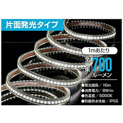 ハタヤリミテッド LEDテープライトR片面セット RLTP10S