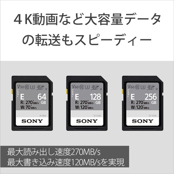 正規店人気 ソニー SONY SDXCカード 256GB Class10 UHS-I対応 SF