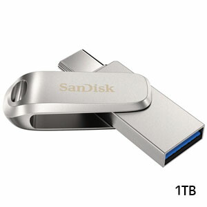 サンディスク USBメモリ TYPE-C USB 1TB SDDDC4-1T00-G46 USB3.1対応