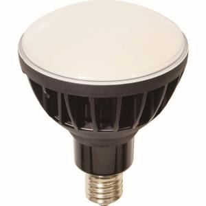 送料無料！！ 【日動工業 NICHIDO】 日動工業 L50V2-J110BK-50K LED交換球 ハイスペックエコビック50W E39 本体黒【smtb-u】 14,481円