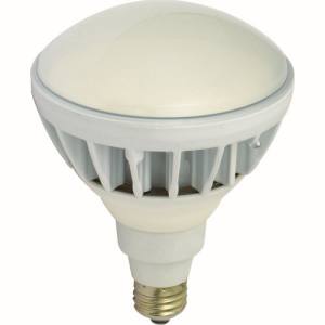 【日動工業 NICHIDO】日動工業 L20W-JW110-50K LED交換球 ハイスペックエコビック20W E26 昼白色｜あきばお～支店