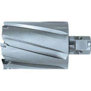 【日東工器】 日東工器 06199 ジェットブローチ ワンタッチタイプ 50X75L 06199