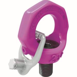 【ルッドリフティングジャパン RUD】 RUD VRS-F-2-4.5UNC スターポイントインチサイズ ルッドリフティング