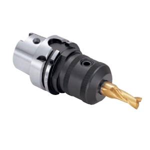 【大昭和精機 BIG DAISHOWA】 BIG DAISHOWA HSK-A63-ISL8-80 サイドロックエンドミルホルダ HSK-A63 メーカー直送 代引不可 北海道 沖縄 離島不可 13,037円