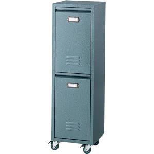 送料無料！！ 【東谷】 東谷 TPN-36GR ラルド ダストボックス メーカー直送 代引不可 北海道沖縄離島不可【smtb-u】