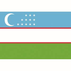 江戸製バナー 東京製旗 国旗no 2 90 135cm ウズベキスタン Ice Org Br