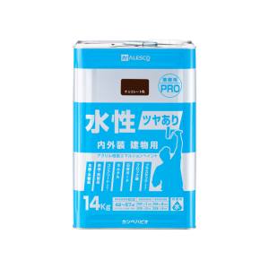 【カンペハピオ KANSAI】 カンペハピオ 水性ツヤあり建物用PRO チョコレート 14kg