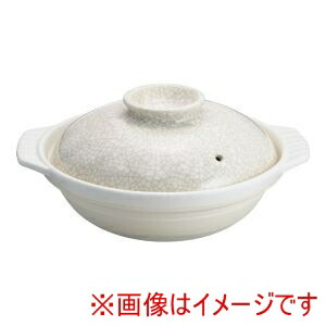 【遠藤商事 TKG】 TKG 貫入 土鍋 S-510 10号 RMJ6405