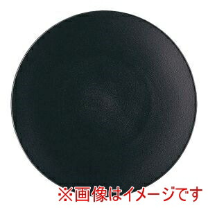 【レヴォル REVOL】 レヴォル エキノクス プレゼーションプレート キャストアイアン 649502 REVOL 6,822円