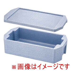 【ダイキュウ】 ダイキュウ ホテルパン専用 コンテナー ホット&クール 1/1用 RH-170型