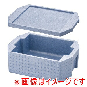 【ダイキュウ】 ダイキュウ ホテルパン専用 コンテナー ホット&クール 2/3用 RH-160型