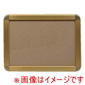 【プラチナ万年筆】 プラチナ万年筆 アケパネG G B1判 ゴールド/ゴールド