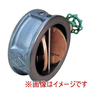 【東洋バルヴ】 東洋バルヴ 10FNW FCウイングチェッキ弁 要部CAC 150A メーカー直送 代引不可 北海道沖縄離島不可