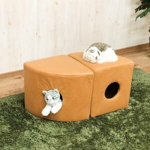 「あきばお～写真機」写真機専門職隅っこ